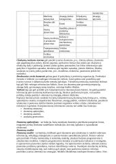Transportavimas ir krovinių tvarkymas 7 puslapis