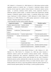 Finansinės ir buhalterinės apskaitos ryšis 4 puslapis