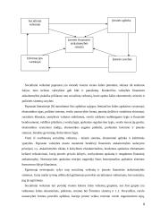 Finansinės ir buhalterinės apskaitos ryšis 9 puslapis