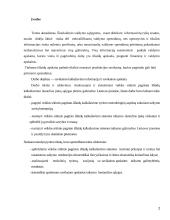 Savikainos kalkuliavimo informacija ir savikainos apskaita 2 puslapis
