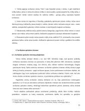 Savikainos kalkuliavimo informacija ir savikainos apskaita 11 puslapis