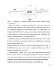 Savikainos kalkuliavimo informacija ir savikainos apskaita 14 puslapis