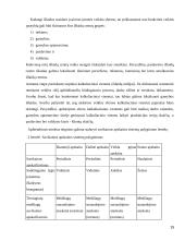 Savikainos kalkuliavimo informacija ir savikainos apskaita 15 puslapis