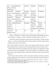 Savikainos kalkuliavimo informacija ir savikainos apskaita 16 puslapis