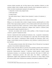 Savikainos kalkuliavimo informacija ir savikainos apskaita 5 puslapis