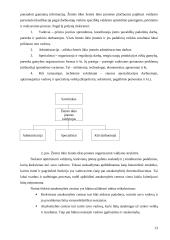 Valdymo apskaitos sistemos žemės ūkio žemės ūkio įmonėse užtikrinimas ir efektyvus panaudojimas 13 puslapis