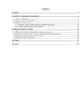 Vidaus audito etapai. Kursinis darbas