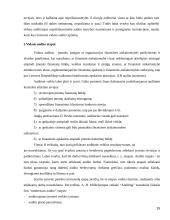 Vidaus audito etapai. Kursinis darbas 15 puslapis