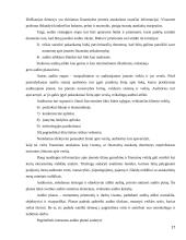 Vidaus audito etapai. Kursinis darbas 17 puslapis