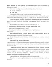 Vidaus audito etapai. Kursinis darbas 19 puslapis