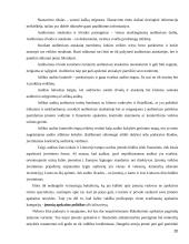 Vidaus audito etapai. Kursinis darbas 20 puslapis