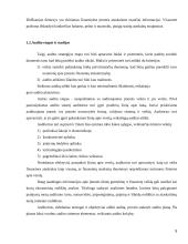 Vidaus audito etapai. Kursinis darbas 5 puslapis