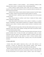 Vidaus audito etapai. Kursinis darbas 8 puslapis