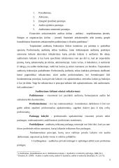 Audito etika kaip efektyvaus audito atlikimo priemonė 5 puslapis