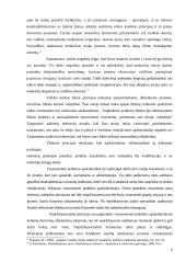 Audito etika kaip efektyvaus audito atlikimo priemonė 9 puslapis