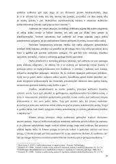 Audito etika kaip efektyvaus audito atlikimo priemonė 10 puslapis