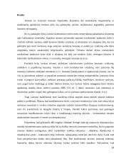 Laisvės atėmimo bausmė 14 puslapis