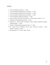 Laisvės atėmimo bausmė 16 puslapis