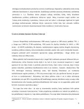 Laisvės atėmimo bausmė 8 puslapis