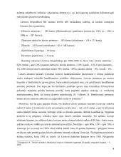 Laisvės atėmimo bausmė 9 puslapis