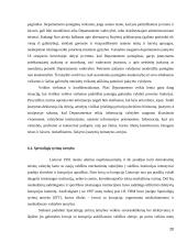 Organizuoto nusikalstamumo prevencijos institucijos 20 puslapis