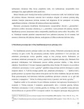 Prezumpcijos sąvoka 12 puslapis