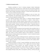 Prezumpcijos sąvoka 3 puslapis