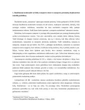 Baudžiamoji atsakomybė už kelių transporto taisyklių pažeidimus 3 puslapis