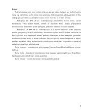 Nukentėjusiojo teisių apsauga Lietuvos Respublikos baudžiamojo proceso kodekse 2 puslapis