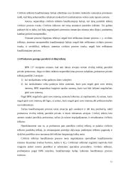 Civilinio ieškovo ir nukentėjusiojo procesinis santykis 15 puslapis