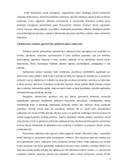 Operatyvinės apklausos teisiniai aspektai  6 puslapis