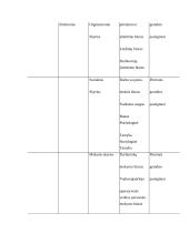 Operatyvinės tarnybos 14 puslapis