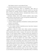 Operatyvinės tarnybos 20 puslapis