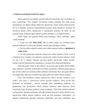 Operatyvinės tarnybos 5 puslapis