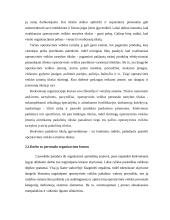 Operatyvinės tarnybos 10 puslapis