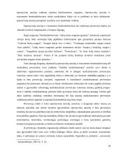 Operatyvinių tarnybų pareigūnų santykių tarpusavio ypatumai 13 puslapis