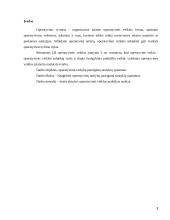 Operatyvinių tarnybų pareigūnų santykių tarpusavio ypatumai 3 puslapis