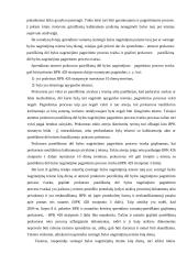 Baudžiamųjų bylų sumarinis procesas 18 puslapis