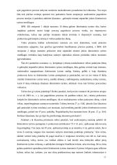 Pagreitintas teisinis procesas  13 puslapis