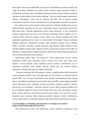 Pagreitintas teisinis procesas  17 puslapis