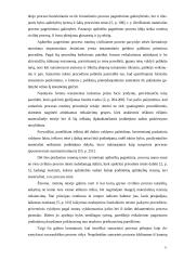 Pagreitintas teisinis procesas  6 puslapis