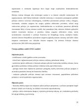 Policijos departamento prie VRM funkcijos 13 puslapis