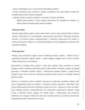 Policijos departamento prie VRM funkcijos 15 puslapis