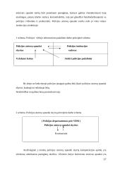 Policijos ir visuomenės informavimas 17 puslapis