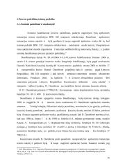 Baudžiamojo proceso pažeidimas ir baudžiamoji atsakomybė 16 puslapis