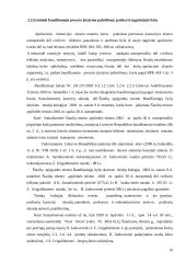 Baudžiamojo proceso pažeidimas ir baudžiamoji atsakomybė 19 puslapis