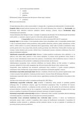 Proceso dokumentų samprata ir reikšmė 3 puslapis