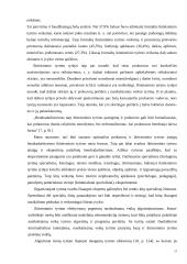 Prokuroro veikla organizuojant ikiteisminį tyrimą  17 puslapis