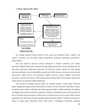 Teisėtumo principas operatyvinėje veikloje  20 puslapis