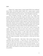 Žmogaus teisės ir laisvės ir saugumo samprata 2 puslapis